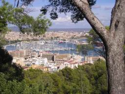 Resize of P1012027.JPG